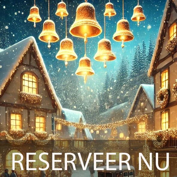 Reserveer kaarten voor kerstshow 2024